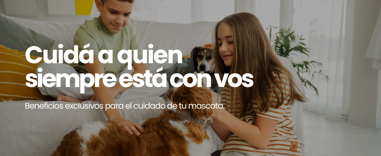 Plan Mascotas